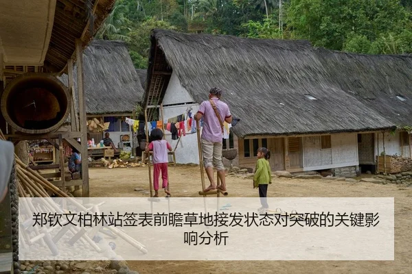 郑钦文柏林站签表前瞻草地接发状态对突破的关键影响分析