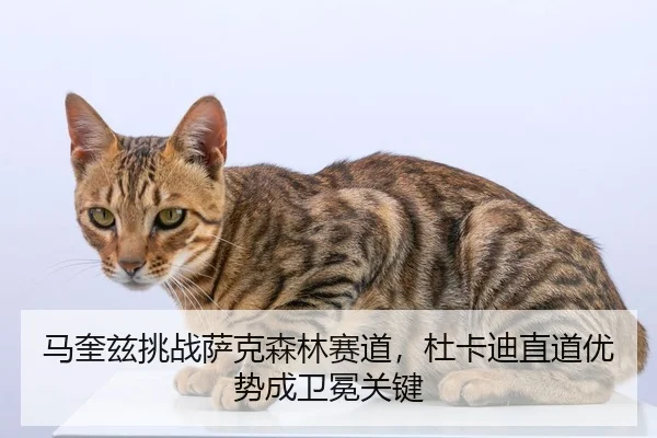 ma-kui-zi-tiao-zhan-sa-ke-sen-lin-sai-dao-du-ka-di-zhi-dao-you-shi-cheng-wei-mian-guan-jian-2-402.jpg