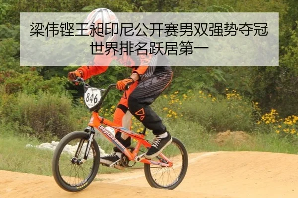 梁伟铿王昶印尼公开赛男双强势夺冠 世界排名跃居第一
